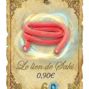 le_lien_de_saki-removebg-preview (1) Le Lien de Saki